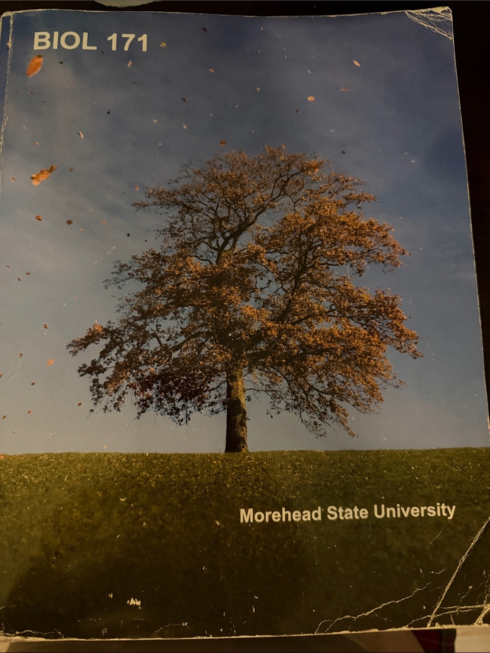 BIOL 171 Textbook Cover - Morehead State University - Blue & Green